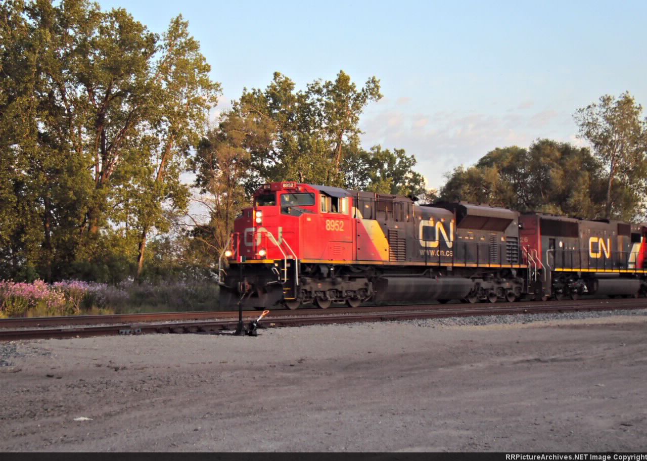 CN 8952